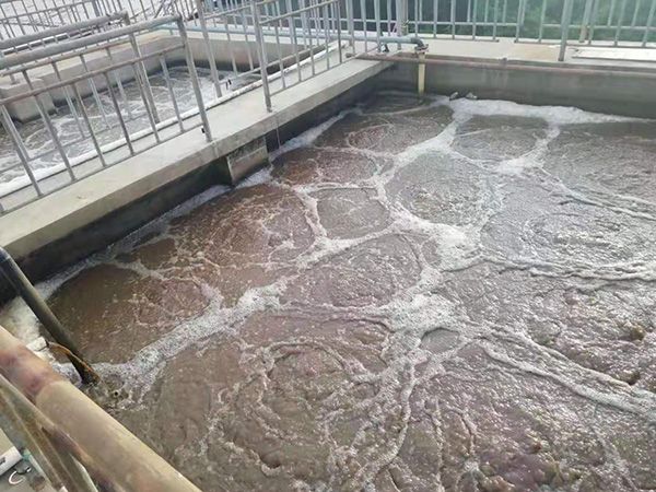 海魚加工污水處理-2.jpg